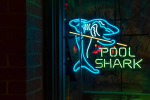 霓虹鯊魚拿著桌球桿，帶有「POOL SHARK」標誌在夜間磚牆上。