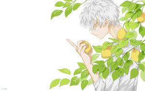 銀髮動漫男孩拿著一個被綠葉包圍的檸檬。 — 檸檬 壁紙