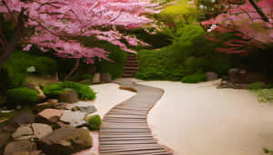 蜿蜒的木棧道穿過日本庭園，有粉紅櫻花和綠色灌木。 — 春天 壁紙