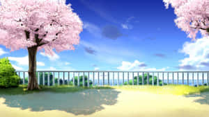 櫻花背景