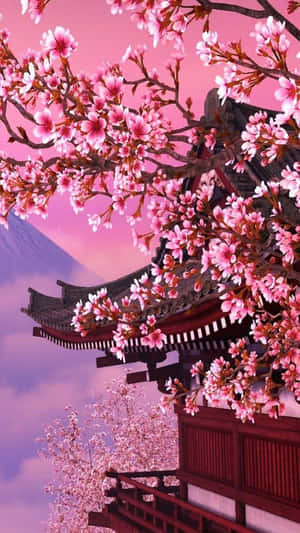 櫻花背景