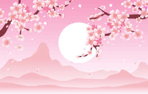 櫻花背景