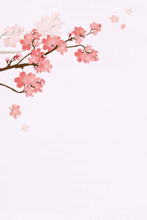 櫻花背景 — Huawei MatePad 11.5 S (2025) 壁紙