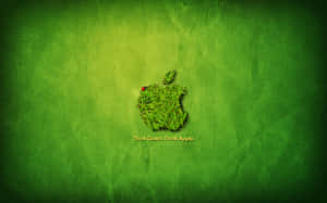 草製Apple標誌、瓢蟲及標語Think Green Think Apple，置於綠色紋理背景上。