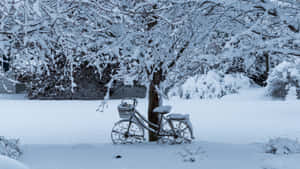 一架被雪覆蓋的華麗單車靠在一棵積雪的樹上，在冬季公園中。