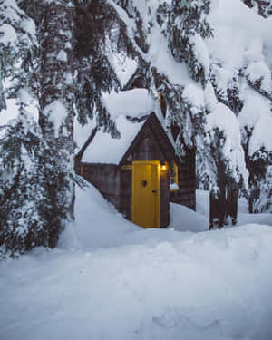 冬日森林中一間被雪覆蓋的小屋，閃爍著黃色的門。