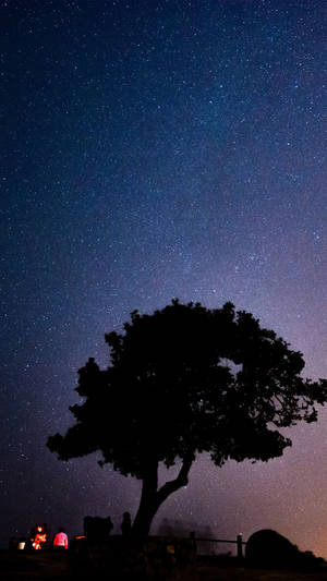 星空夜空下的樹木剪影，下方有營火和人群。