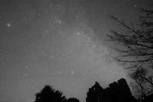 單色調中古代廢墟和光禿樹木上的星空。
