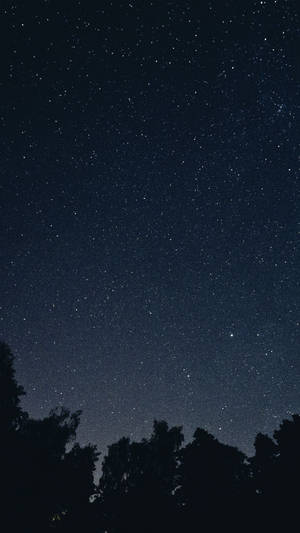 星空夜空下的黑暗樹木輪廓。