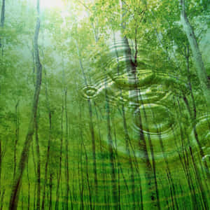 綠色森林，陽光和漣漪疊加營造出夢幻般的氛圍。