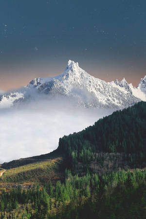 在星空下，積雪的山脈從雲層中升起，下方是森林覆蓋的山坡。