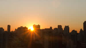 夕陽映照密集的城市天際線，金色光芒與建築剪影。