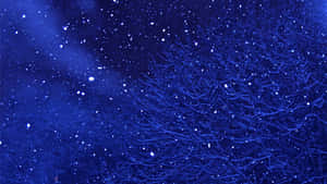 深藍色宇宙背景，帶有發光的白色斑點和分支的神經狀圖案。