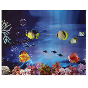 深藍色水族箱場景中，色彩繽紛的熱帶魚和珊瑚，伴隨著氣泡。