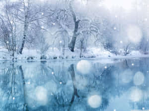 積雪的樹木在柔和的藍色冬日光線下倒映在冰凍的河流中。