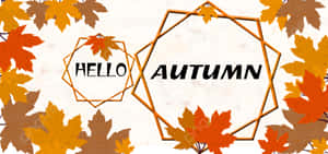 秋葉圍繞著金色幾何形狀和 hello autumn 文字。