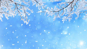 結霜的樹枝映襯著明亮的藍天，飄雪和太陽。