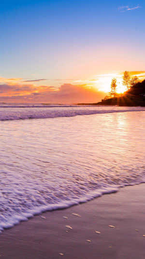 海洋上的夕陽，海浪沖刷沙灘和剪影樹木 — 沙灘 壁紙