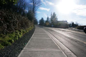 一條設有人行道的瀝青道路在明媚陽光下蜿蜒穿過樹林地區。 — 低調 壁紙