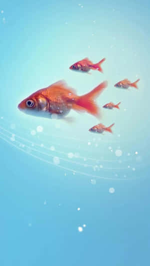 金魚在帶有氣泡和光線的清澈藍色水中游泳。