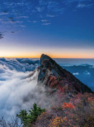 日出時山峰聳立於雲端之上，秋天的樹木呈現紅色和橙色。 — 日出 壁紙