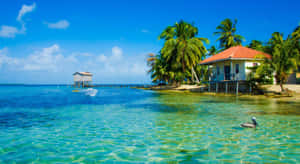 舒適的熱帶海灘小屋，有棕櫚樹和清澈碧綠的海水。