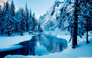 白雪覆蓋的松樹框住了一條平靜的河流，在冬天映照出藍色的山脈。