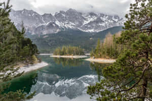 積雪的山峰倒映在寧靜的高山湖泊中，周圍環繞著松樹。