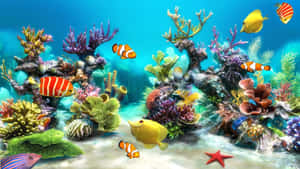 令人驚嘆的珊瑚礁，熱帶魚和海星在清澈的藍色海水中游動。