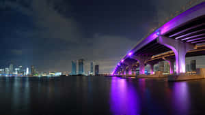 夜間，一座紫色燈光橋樑橫跨水面，背景是城市天際線。
