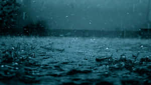 在暴風雨的天空下，雨滴在潮濕的地面上濺起的特寫。 — 雨天 壁紙
