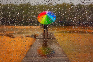 拿著彩虹傘的人穿過雨痕斑斑的窗戶在濕路上行走
