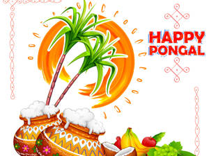 在明亮的太陽下，用鍋子、甘蔗和水果慶祝Pongal節日。
