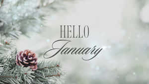 結霜的松樹枝條和松果，以及「Hello January」文字。