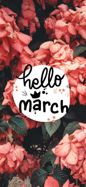 珊瑚花與綠葉在一個寫著hello march的白色圓圈後面。