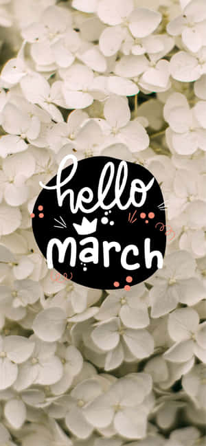 白色繡球花與黑色圓形圖案，上面寫著hello march。