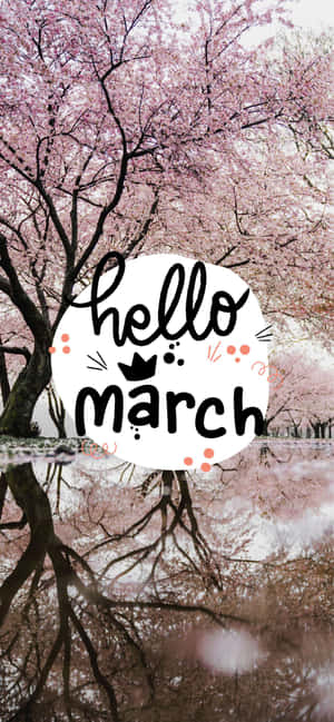 倒映在水中的櫻花樹，帶有 hello march 文字疊加。