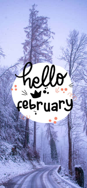 積雪森林小路，光禿樹木，以及hello february圖形。 — Pixel 8a 壁紙