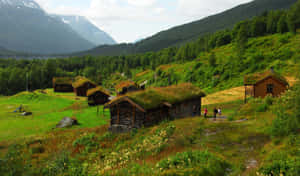 山谷中的草頂木屋，附近有徒步旅行者行走。