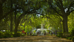 人們沿著陰涼的公園小徑，在掛有西班牙苔蘚的大橡樹下，走向中央噴泉。