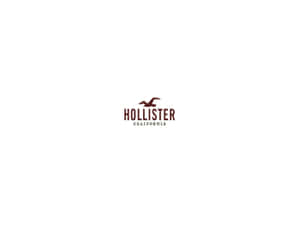 Hollister California標誌，棕色海鷗剪影在白色背景上