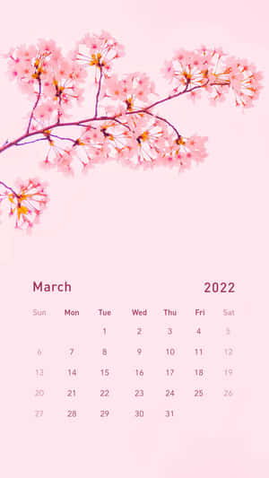 2022年3月日曆，帶有櫻花枝條，粉紅背景