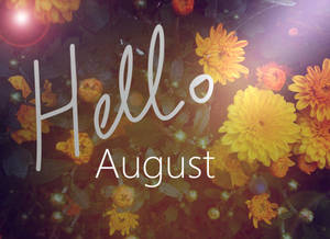黃色花朵，帶有在溫暖陽光下發光的「Hello August」文字。