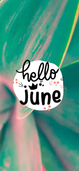 在色彩繽紛的抽象背景上，白色圓圈內的 Hello June 文字。