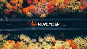 穿過色彩繽紛的秋樹的道路鳥瞰照片，帶有「Hello NOVEMBER」文字。
