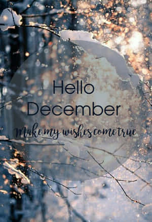被雪覆蓋的樹枝，帶有溫暖的散景燈光和「Hello December」文字疊加。