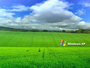 藍天白雲下的綠色田野和Windows XP標誌