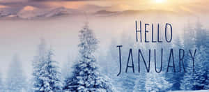 白雪松林、霧氣和山脈在日出時分，帶有hello january文字