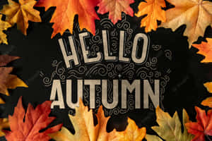 秋葉圍繞著黑板上的「hello autumn」文字。