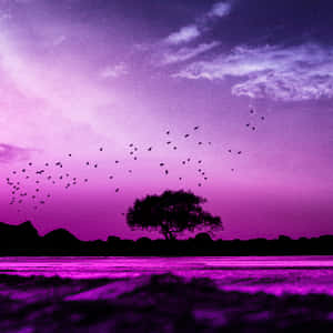 一棵孤樹和一群鳥兒在紫色日落天空下，水面之上。